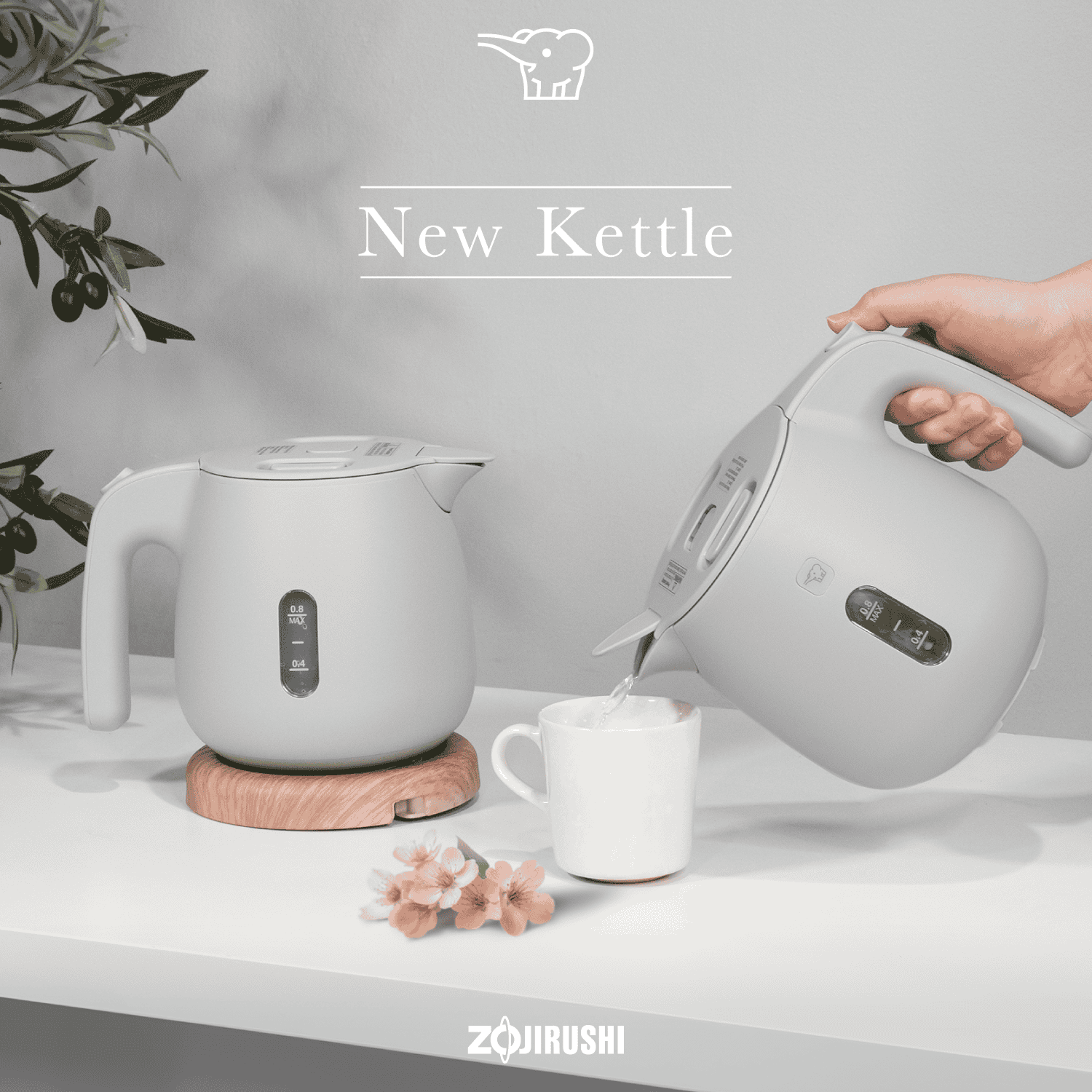 Zojirushi Electric Kettle (CK-SAQ)