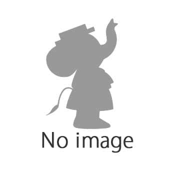 EXP.LID SL-JA SILVER-SA